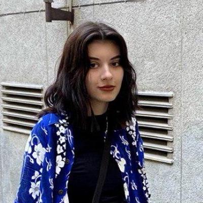 Ciplenka Viktoriia Github - Best Sunset Images in 4K