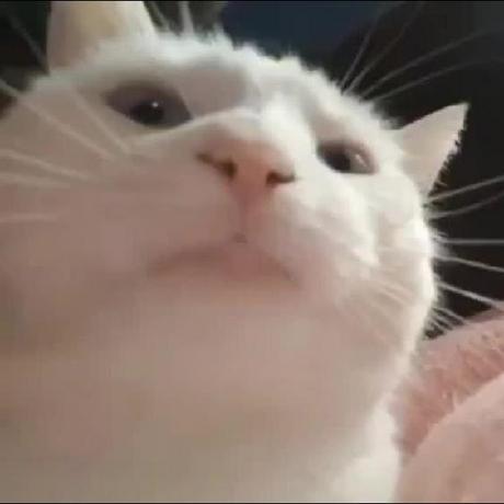 Sheikh Hamim Sheikh Hamim Github - Colorful Designs - Incredible High Resolution Collection