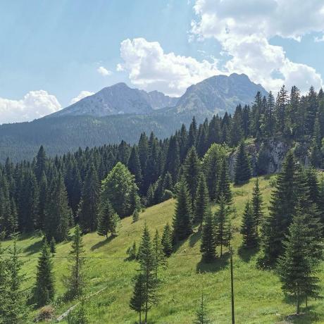 Montimage Github - Download Professional Ocean Design | HD