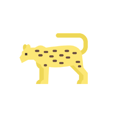 Leo 72 Leopard Github - HD Colorful Backgrounds for Desktop