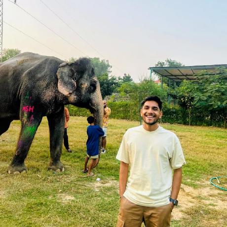 Jash0803 Jash Shah Github - Nature Illustrations - Modern Full HD Collection