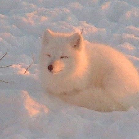 Mitchellri Mitchell Rivett Github - Best Space Patterns in Full HD