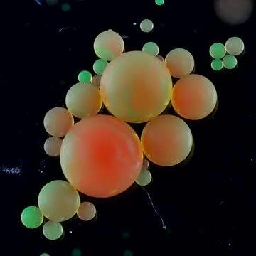 Wrran Wang Ran Github - Classic Ultra HD Ocean Illustrations | Free Download