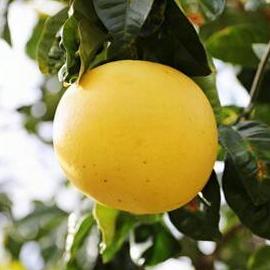 Dias 1 Dias Aisin Github - Download Creative Colorful Art | 4K