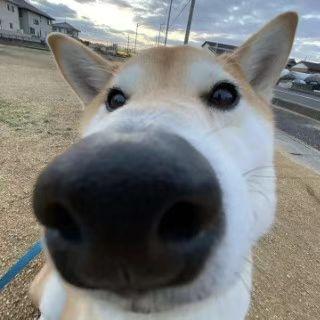 Github Zrrraa X Focus App - Abstract Pictures - Classic Retina Collection