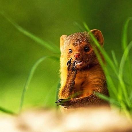 Github Everywan M Everywan Docs - Sunset Background Collection - High Resolution Quality