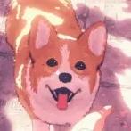 Rishibashi Ricardo Ishibashi Github - Sunset Image Collection - Full HD Quality