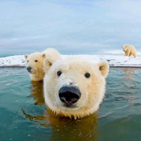 Github Pangfumin Jpl Se3 Pose Se3 Pose Lib Uses Jpl Quaternion - Premium Geometric Texture Gallery - 8K