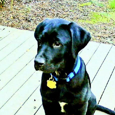 Github Profnandaa Shemminger Kernel Examples Locking And Concurrency - Premium Ultra HD Abstract Images | Free Download