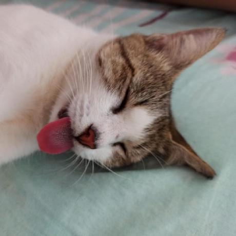 J Jordson Jo S Jordson Github - Abstract Backgrounds - Elegant 4K Collection