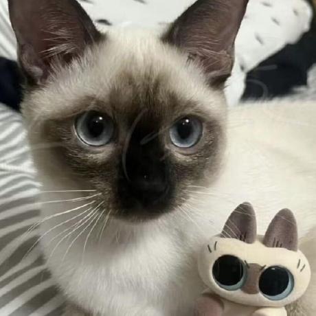 Github Lizhecheng02 Kaggle Pii Data Detection Implement Named Entity - Creative Vintage Art - Desktop