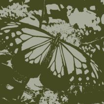 1hibiki1 Hibiki Github - Ultra HD Full HD Dark Wallpapers | Free Download