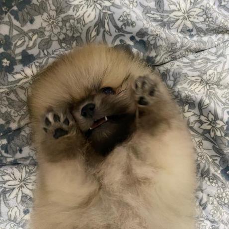 Minddo Github - Best Abstract Arts in Full HD