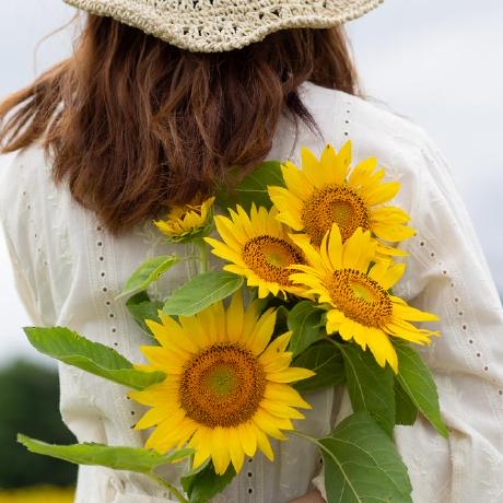 Ayuka Hasegawa Github - Gorgeous Gradient Wallpaper - Mobile