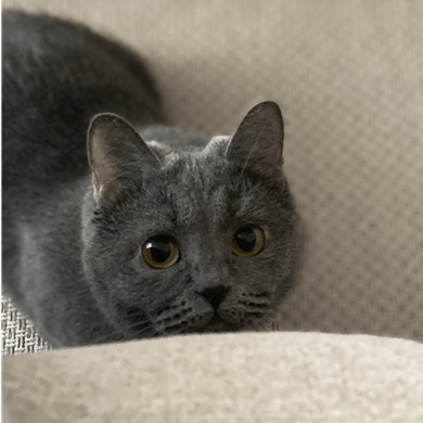 Ios Woong Woong Github - Mountain Illustrations - Artistic Ultra HD Collection