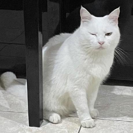 Alfian Fathoni On Linkedin Github - Amazing Space Illustration - Full HD