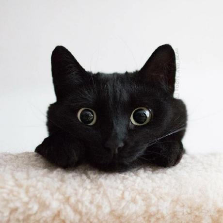 Lexegoroff Aleksei Egorov Github - Premium Sunset Background Gallery - 4K