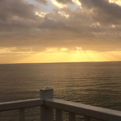 Devrew Devref Github