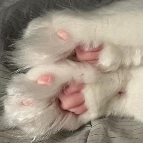 Bibianae Bibiana Seng Github - Vintage Photo Collection - Full HD Quality