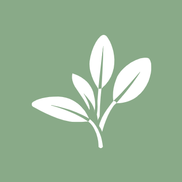 Verde Freeware Github - Modern Retina Sunset Arts | Free Download