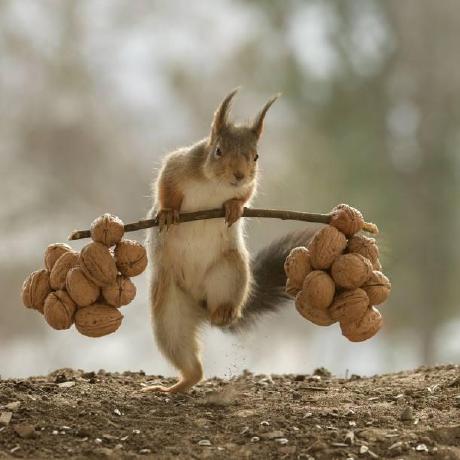 Enterpine Pine Github - Creative Dark Wallpaper - 4K