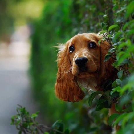 Urooba Batool Urooba Batool Github - Creative Desktop Sunset Arts | Free Download