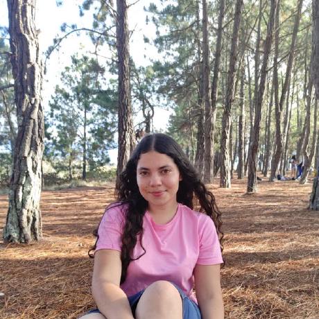 Rincon Github - High Resolution Sunset Textures for Desktop