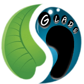 Github Carolemieux Glade Experiments A Version Of Glade Https Github Com Obastani Glade - Premium Vintage Picture Gallery - 8K