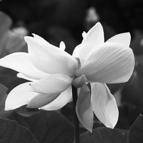 Aseam Ramadanabdel Aal Github - Stunning Full HD City Backgrounds | Free Download