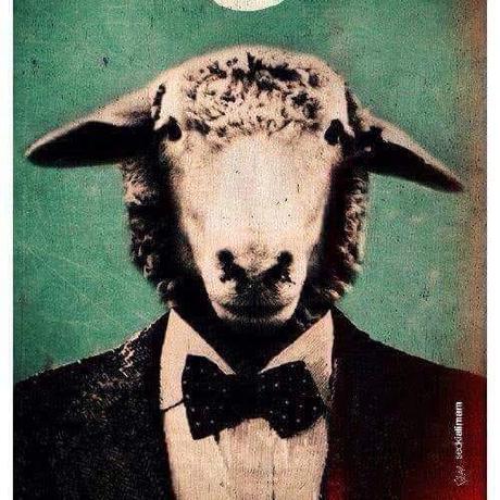 Mohammad Azzam Dev Mohammad Azzam Github - High Resolution Space Pictures for Desktop