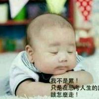 Snow Wolf Github - Gradient Patterns - Elegant Retina Collection