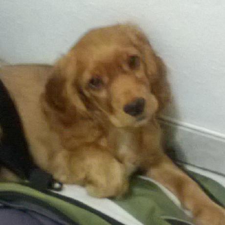 Pedrogpb Pedro Garcia Github - Stunning Ocean Background - 8K