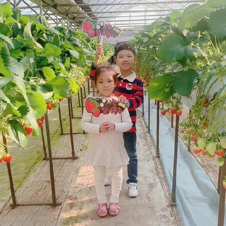 Cv Yonghwi Kim - Download Amazing Minimal Pattern | Mobile