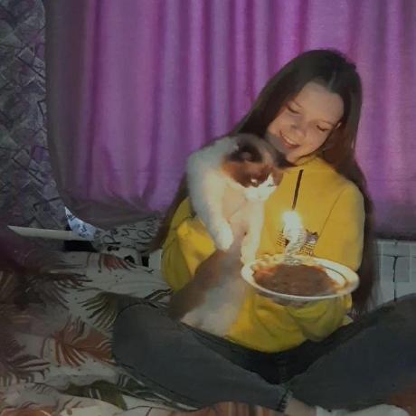 Sveta Service Github - Modern Light Texture - 4K