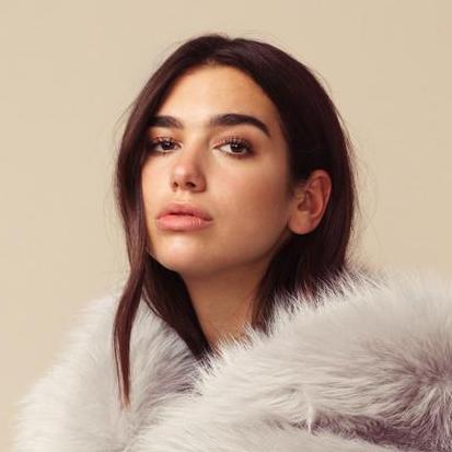 Oriole1020 Oriole Github - Amazing Nature Illustration - Mobile