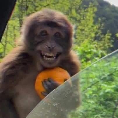 Pressfffexe Denis Makhov Github - Space Photos - Amazing Ultra HD Collection