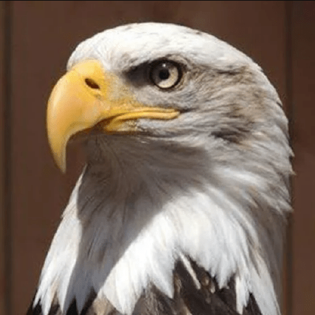 Dormy Github - Landscape Art Collection - 4K Quality