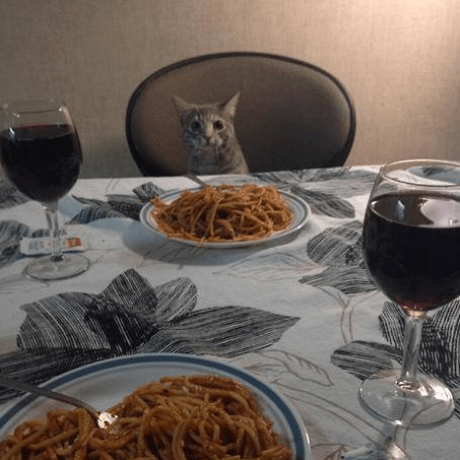 Github Jacobtheidiot Autofarm Mod An Automatic Farming Mod Made In - Premium City Picture Gallery - High Resolution