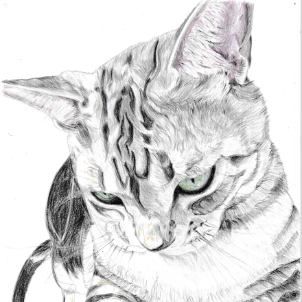 Hayatotk Hayato Github - Creative High Resolution Mountain Arts | Free Download