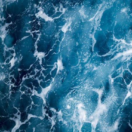 Anisimova N Anisimova Github - Vintage Pictures - Premium Retina Collection