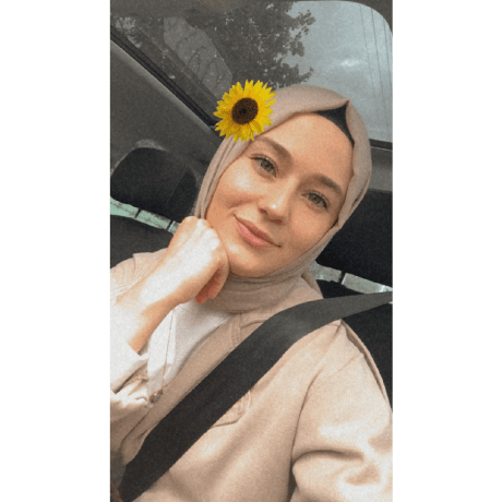 Busra Salamci Busra Github - Download Elegant Landscape Illustration | Retina