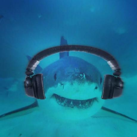 Github Fiscarelliwhas Artes - Gorgeous 8K City Patterns | Free Download