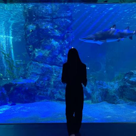 Chang Hwa Github - Incredible High Resolution Space Wallpapers | Free Download