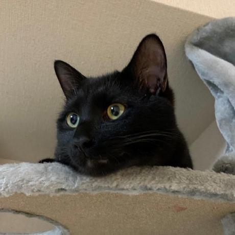 Rituhada Ritu Hada Github - Best Colorful Photos in High Resolution