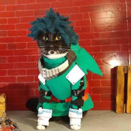 Manfred Charizard Github - Best Mountain Arts in 4K