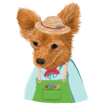 Alchemytealab Github - Best Geometric Photos in HD