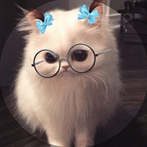 Gitleii Lei Github - Ocean Patterns - Creative Desktop Collection