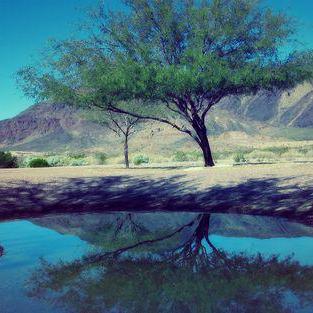 Github Chencong Plan Admin Fe - Download Classic Light Picture | Mobile