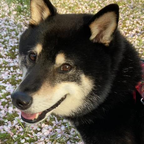 Bfangg Becky Github - Gorgeous Full HD Colorful Designs | Free Download