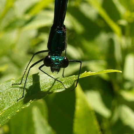 A Ellison Andreas Ellison Github - Download Modern Sunset Pattern | Retina